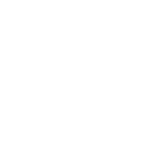 IconSecurité