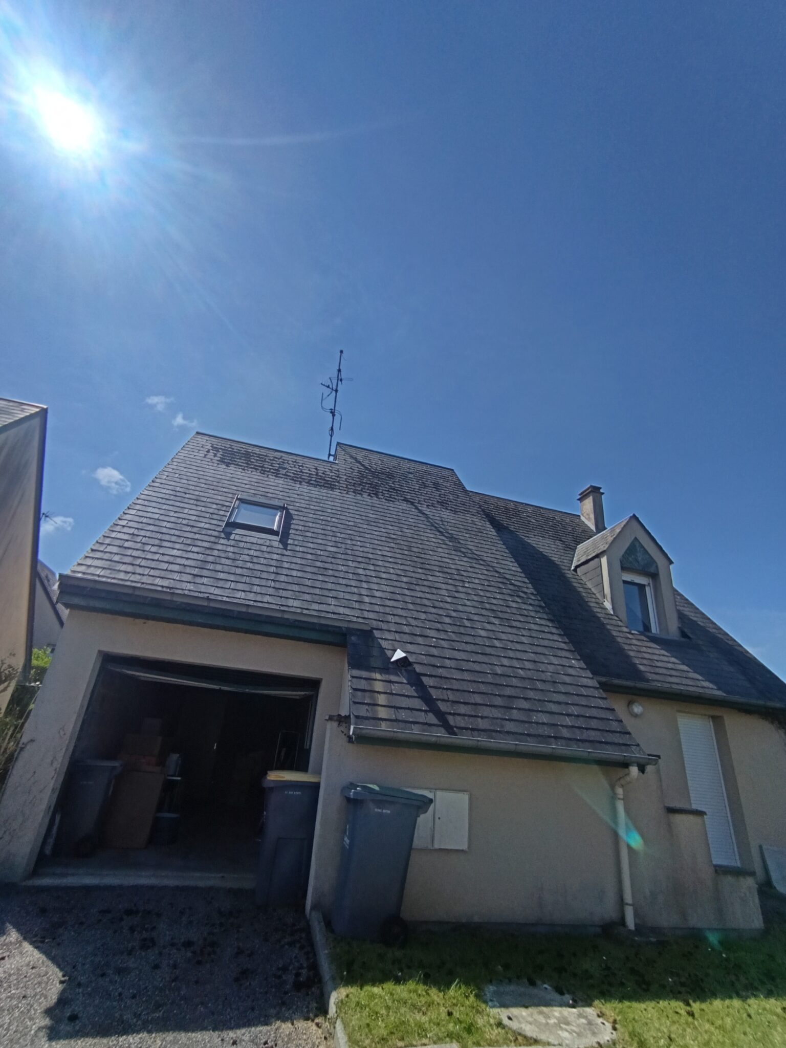Mousses et lichens présents sur une toiture en ardoise avant traitement